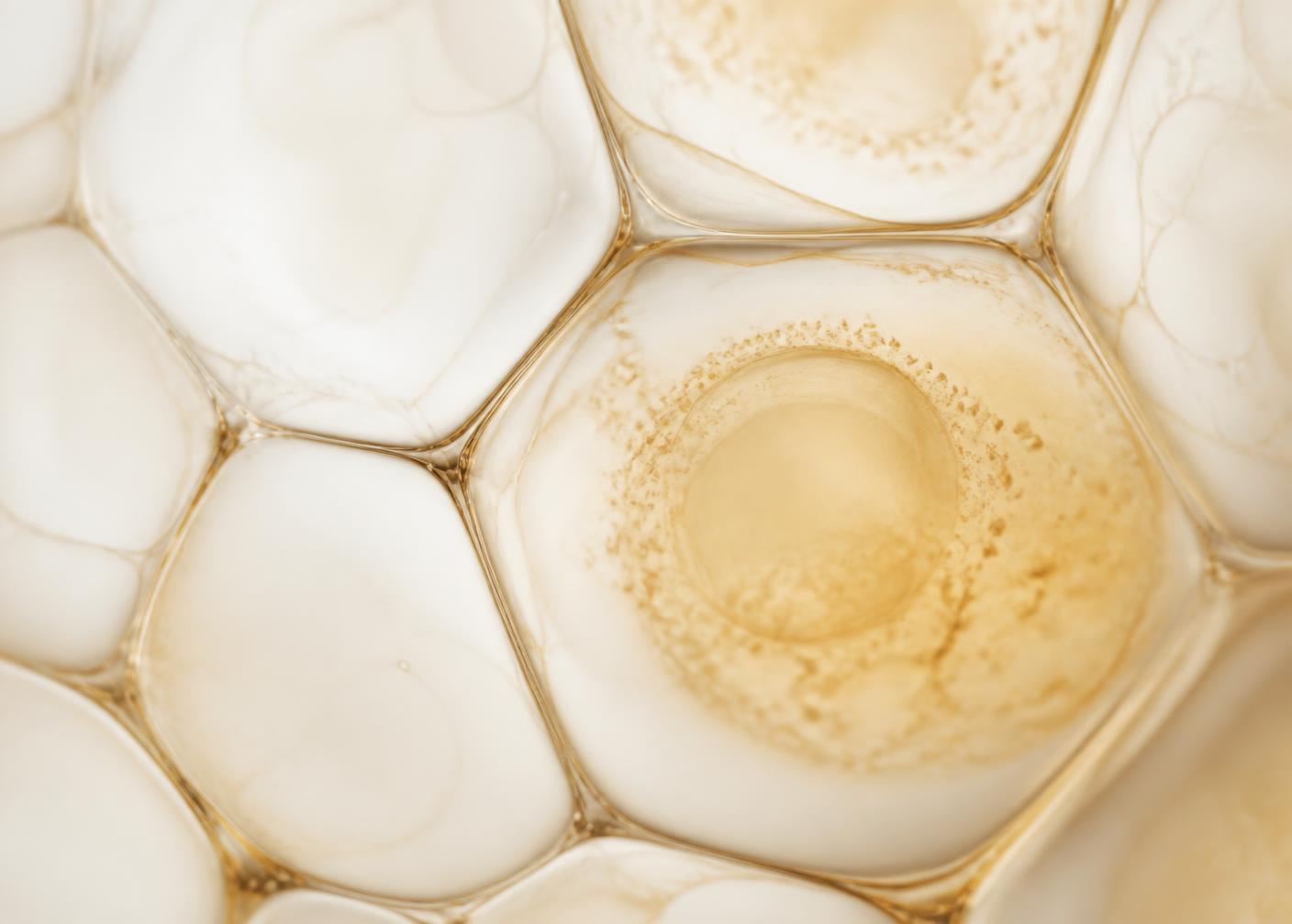 Textura orgânica de células em tons de areia e dourado